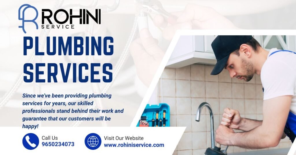 Cleaning solution for rohini