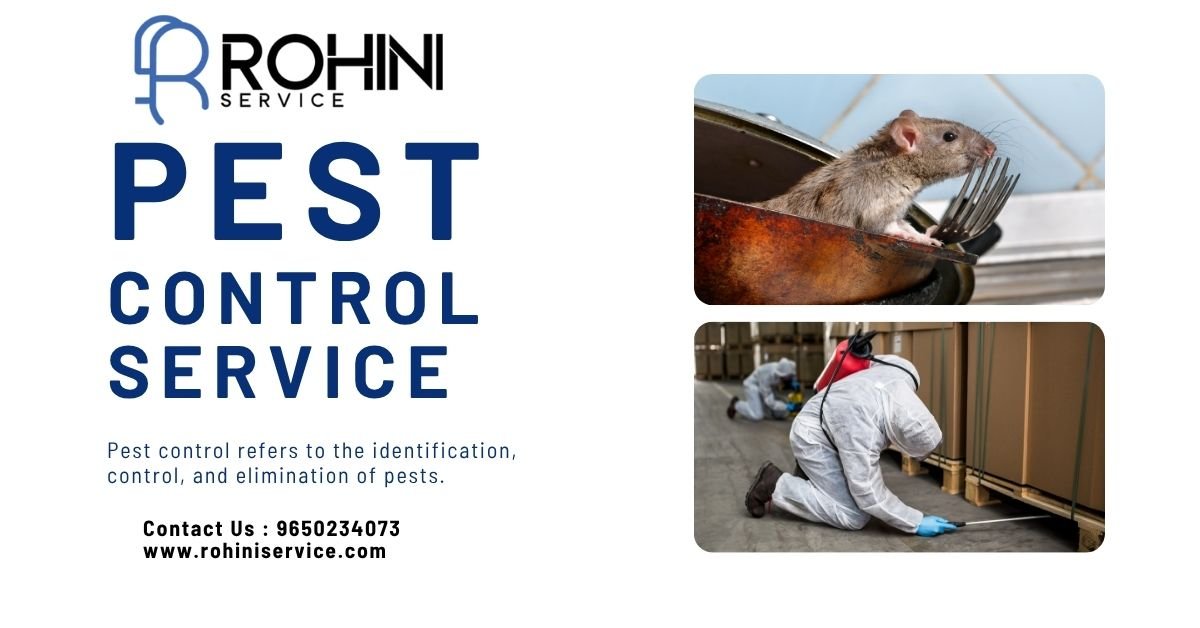 AMC pest control technician visiting Rohini home AMC pest control technician visiting Rohini home